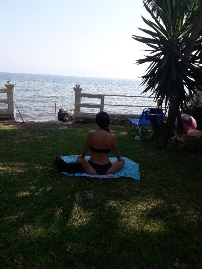 Villa By The Sea - Βίλα Πάνω Στη Θάλασσα Kávos Exteriör bild